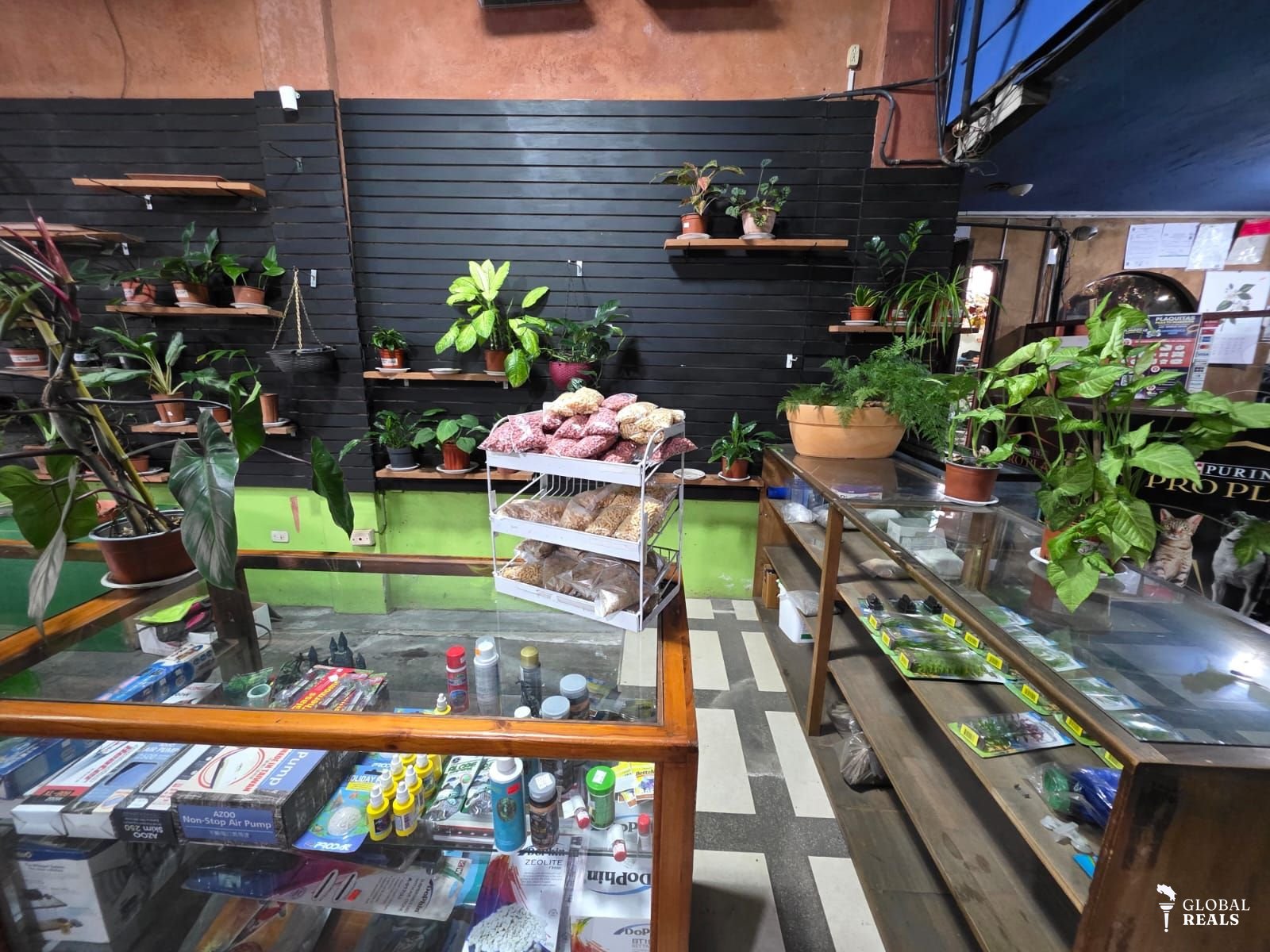 ALQUILER KIOSKOS COMERCIALES SAN RAFAEL DESAMPARADOS