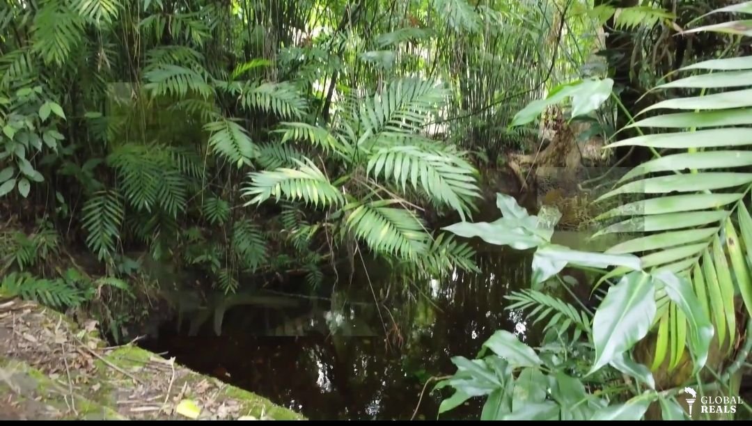 Propiedad en San Rafael de Heredia Costa Rica