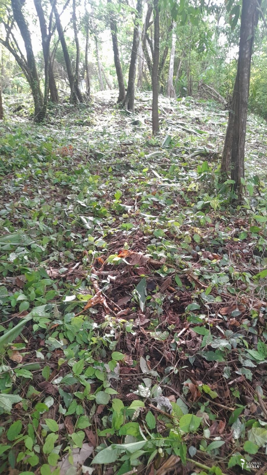 Propiedad en Malpais , Costa Rica