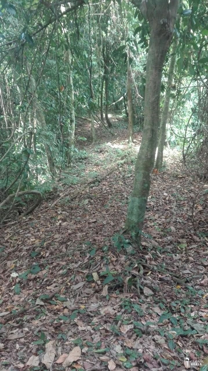 Venta de finca en Manzanillo de Talamanca