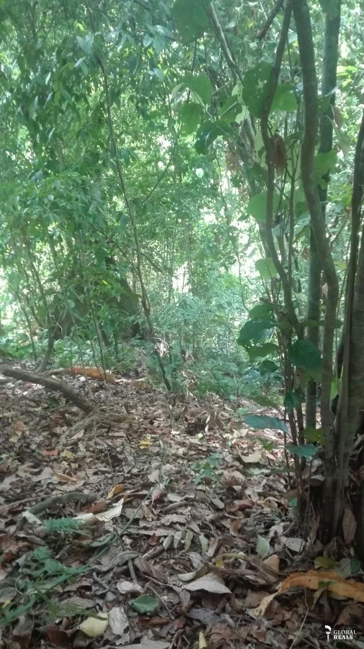 Venta de finca en Manzanillo de Talamanca