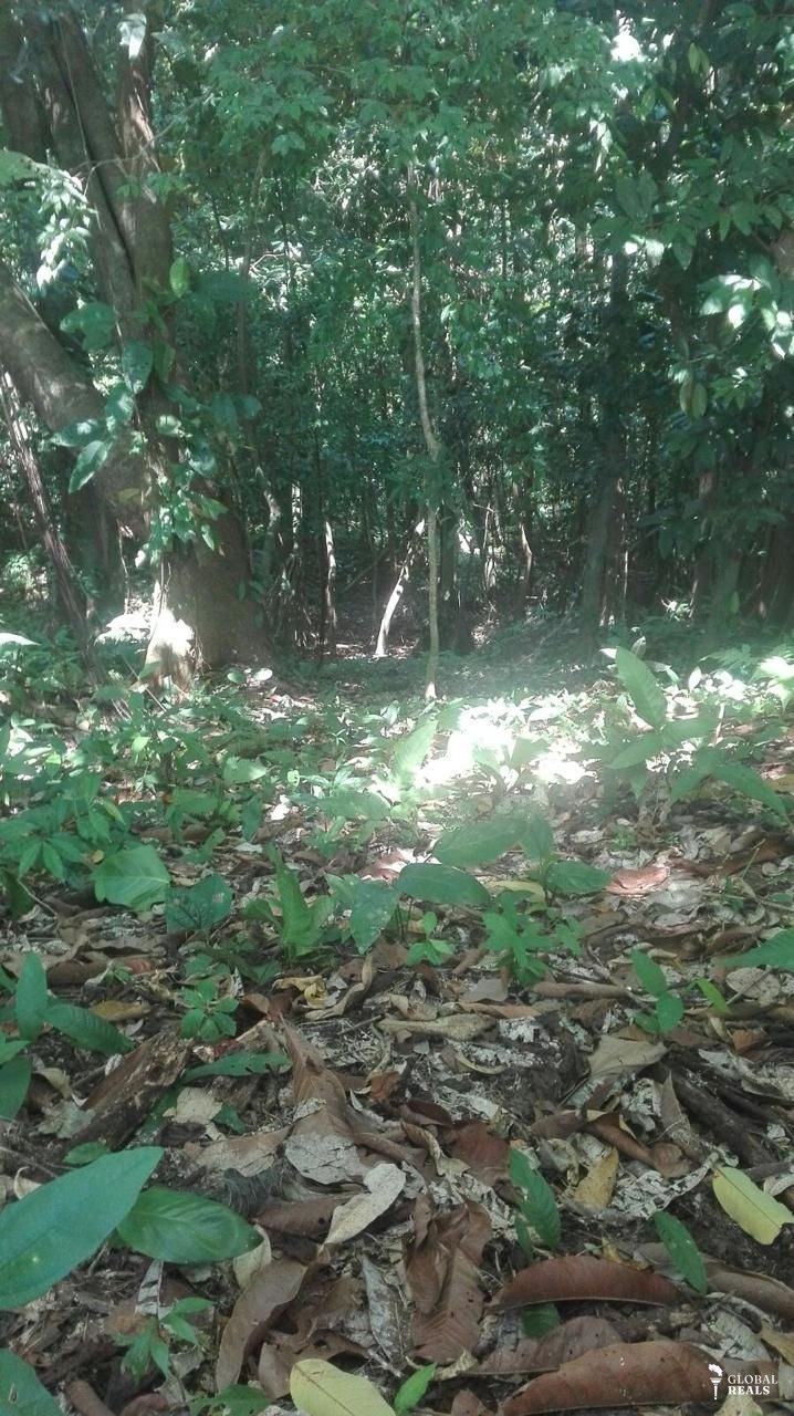 Venta de finca en Manzanillo de Talamanca