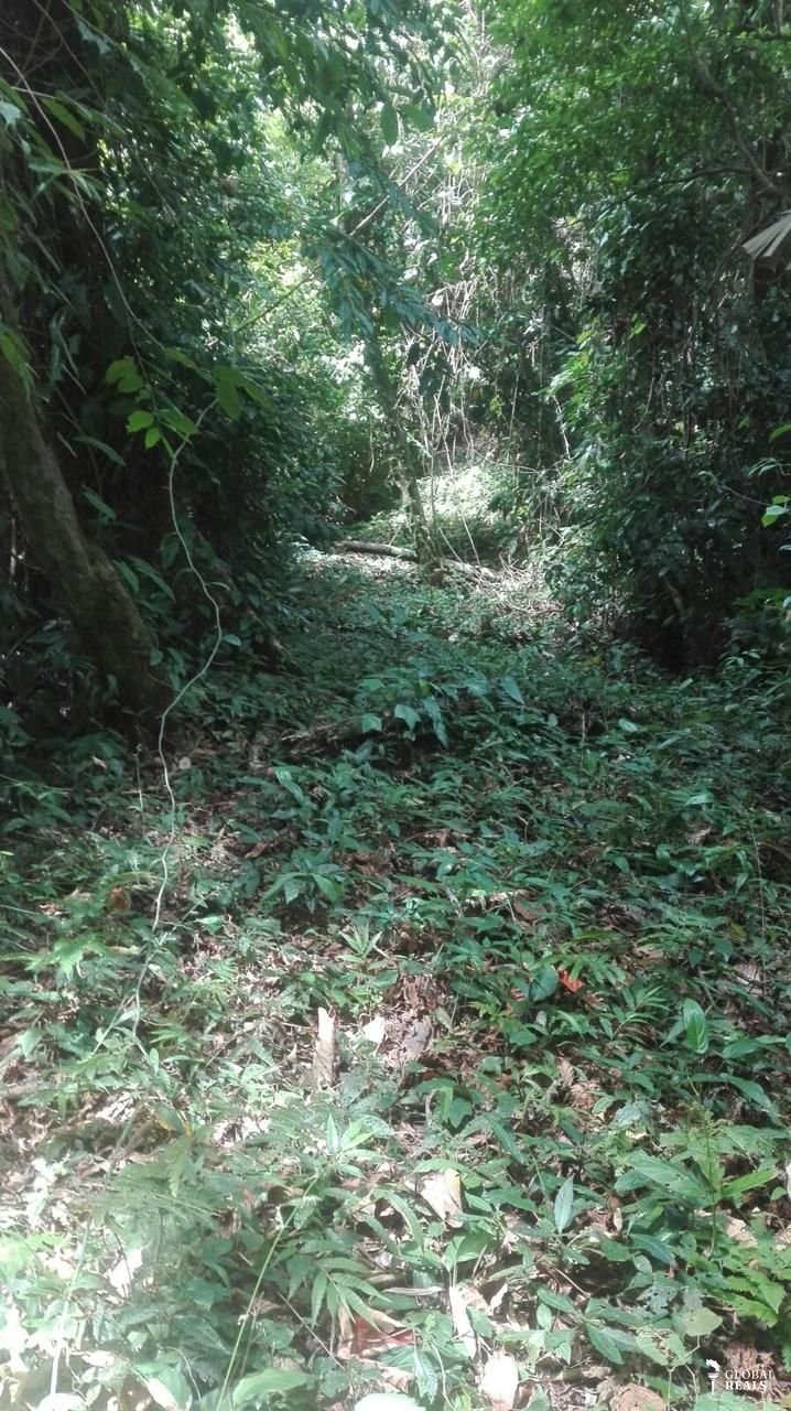 Venta de finca en Manzanillo de Talamanca