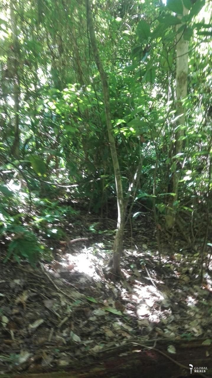 Venta de finca en Manzanillo de Talamanca
