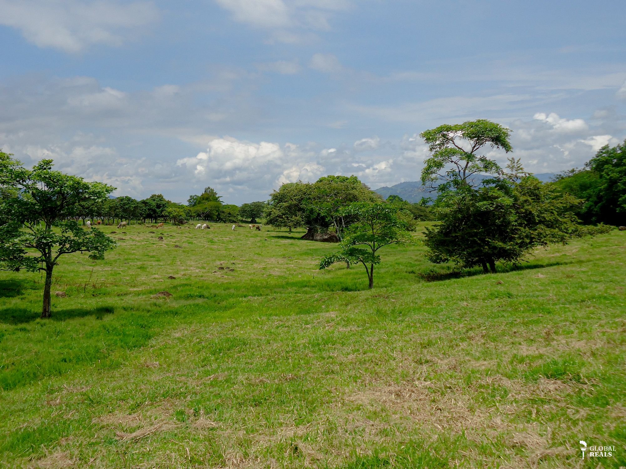 Terreno para desarrollo en El Coyol