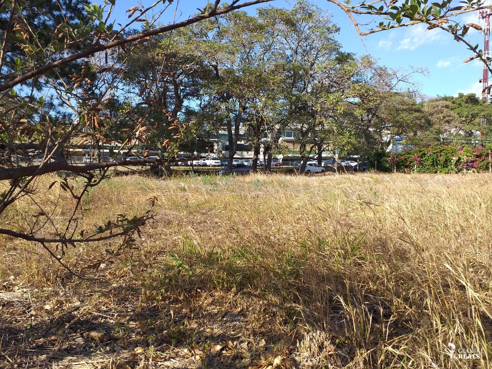 🏡 Terreno plano de 898 m²en Cariari, Heredia | a 50 m del Cariari Country Club 🏡
