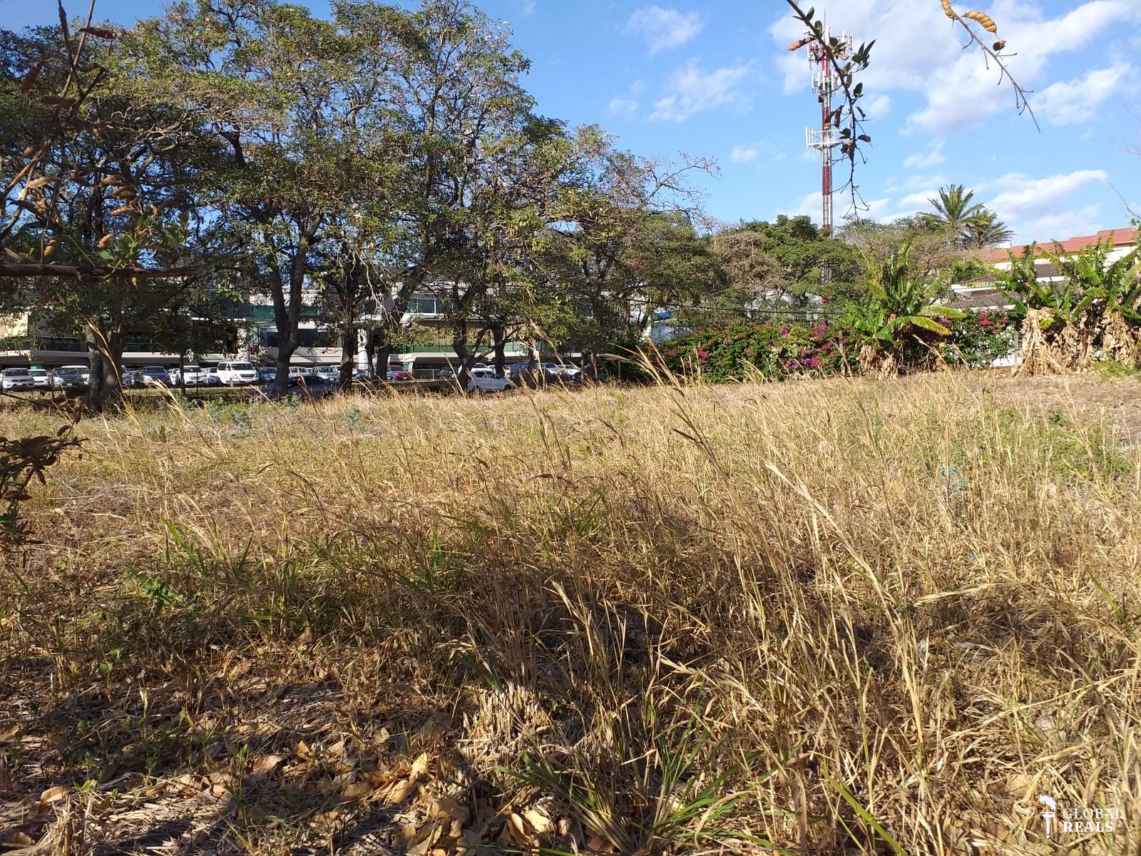 🏡 Terreno plano de 898 m²en Cariari, Heredia | a 50 m del Cariari Country Club 🏡