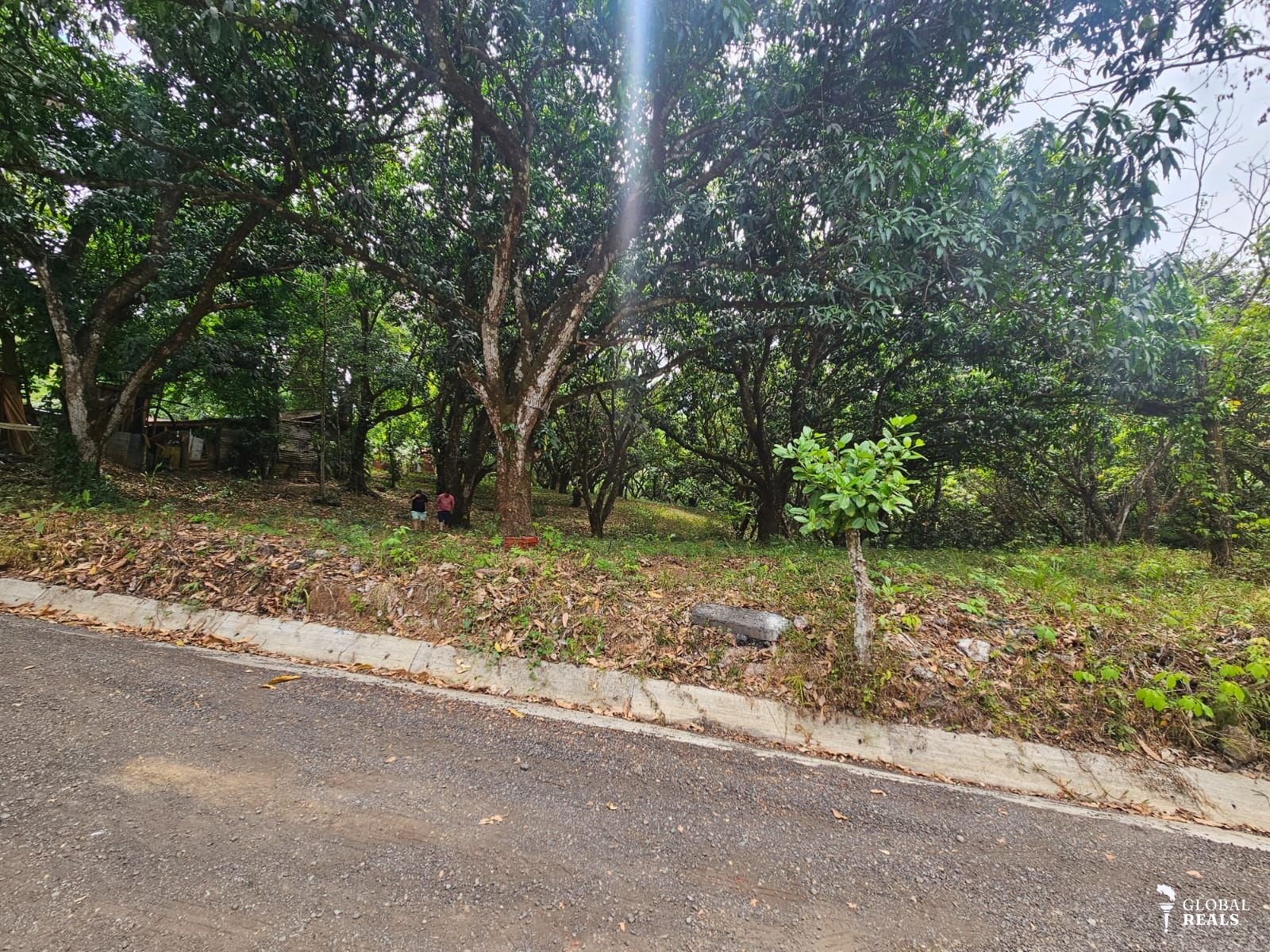 🏠 Lote tipo Quinta en venta cerca del centro de San Pablo Turrubares, a 10 minutos de Ruta 27, con todos los servicios 🏠