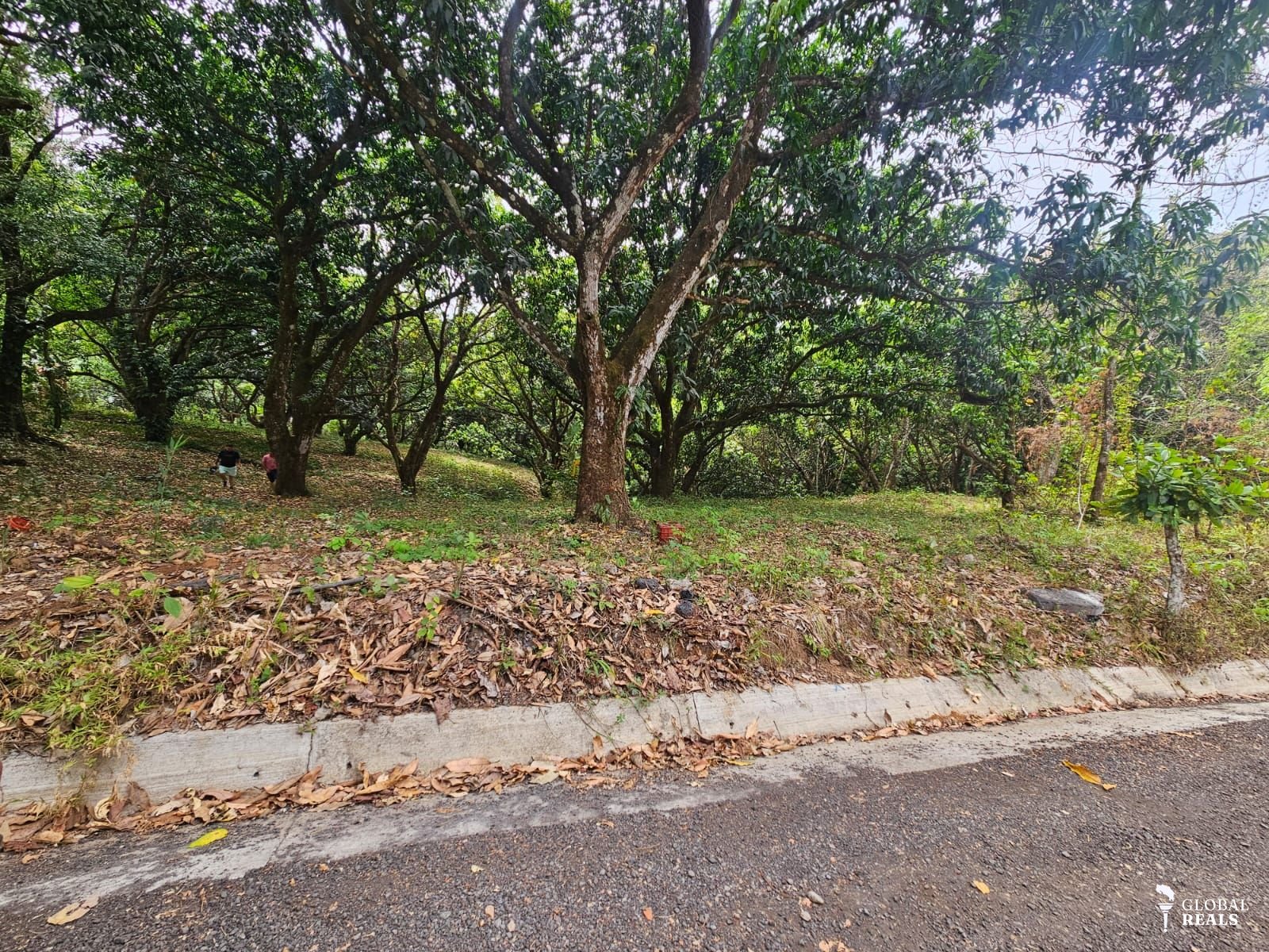🏠 Lote tipo Quinta en venta cerca del centro de San Pablo Turrubares, a 10 minutos de Ruta 27, con todos los servicios 🏠