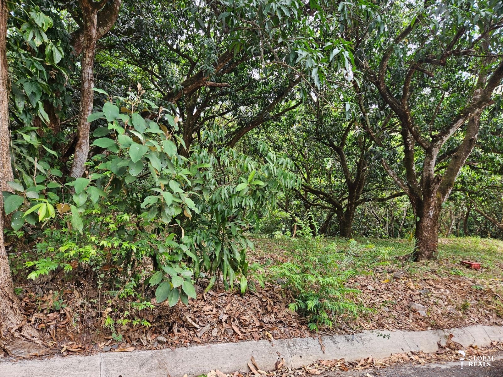 🏠 Lote tipo Quinta en venta cerca del centro de San Pablo Turrubares, a 10 minutos de Ruta 27, con todos los servicios 🏠