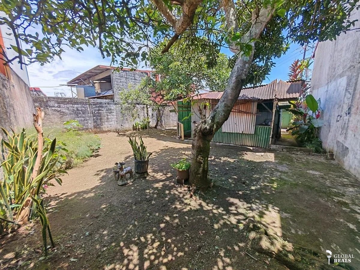 Venta de lote de 307 m², con amplio Uso Mixto. Desarrolle hasta 5 pisos en Vargas Araya, San Pedro