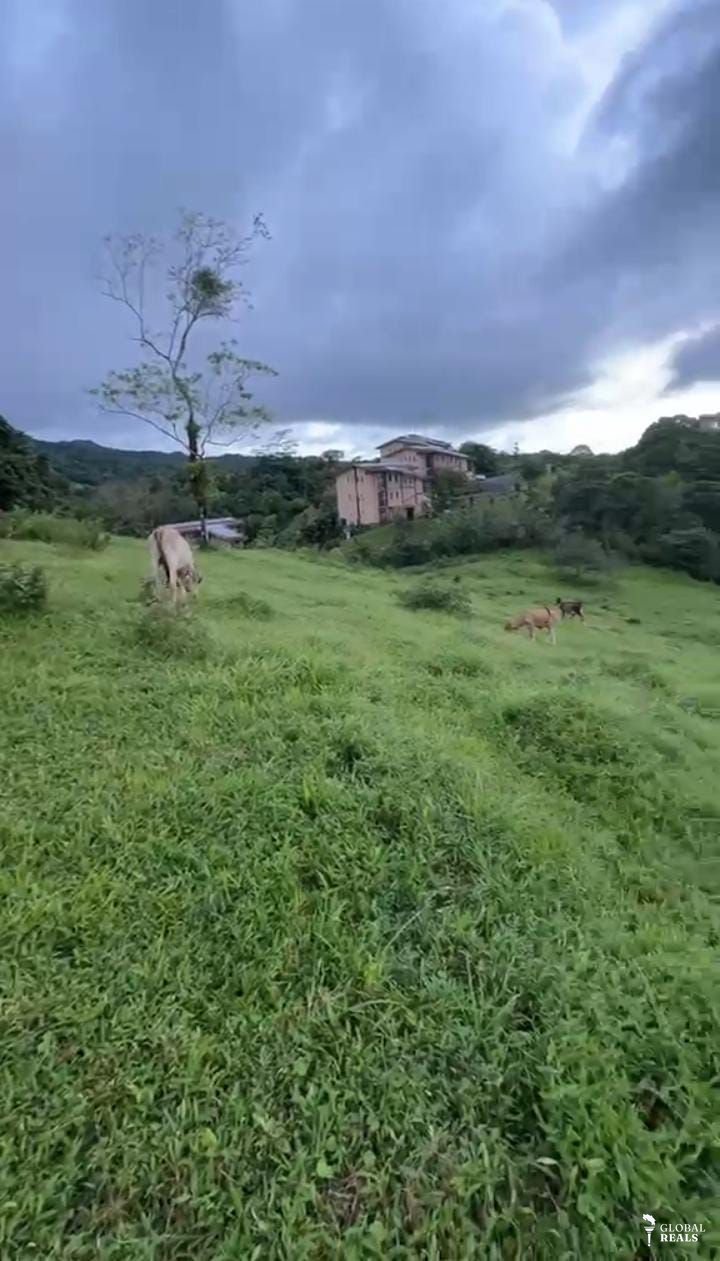 Finca   en la fortuna  san Carlos