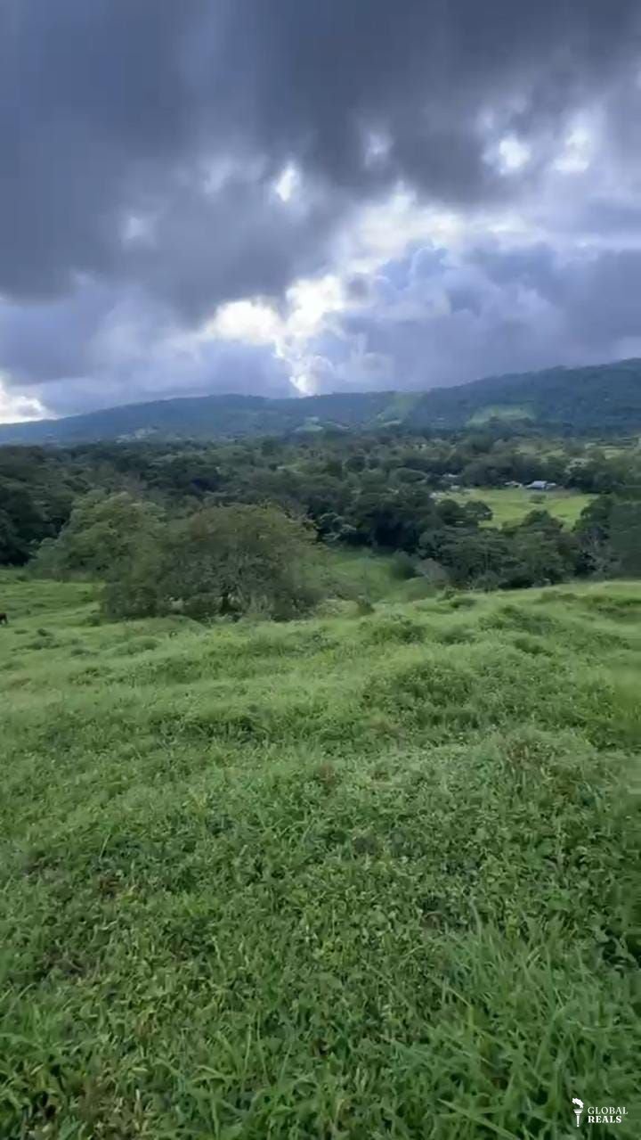 Finca   en la fortuna  san Carlos