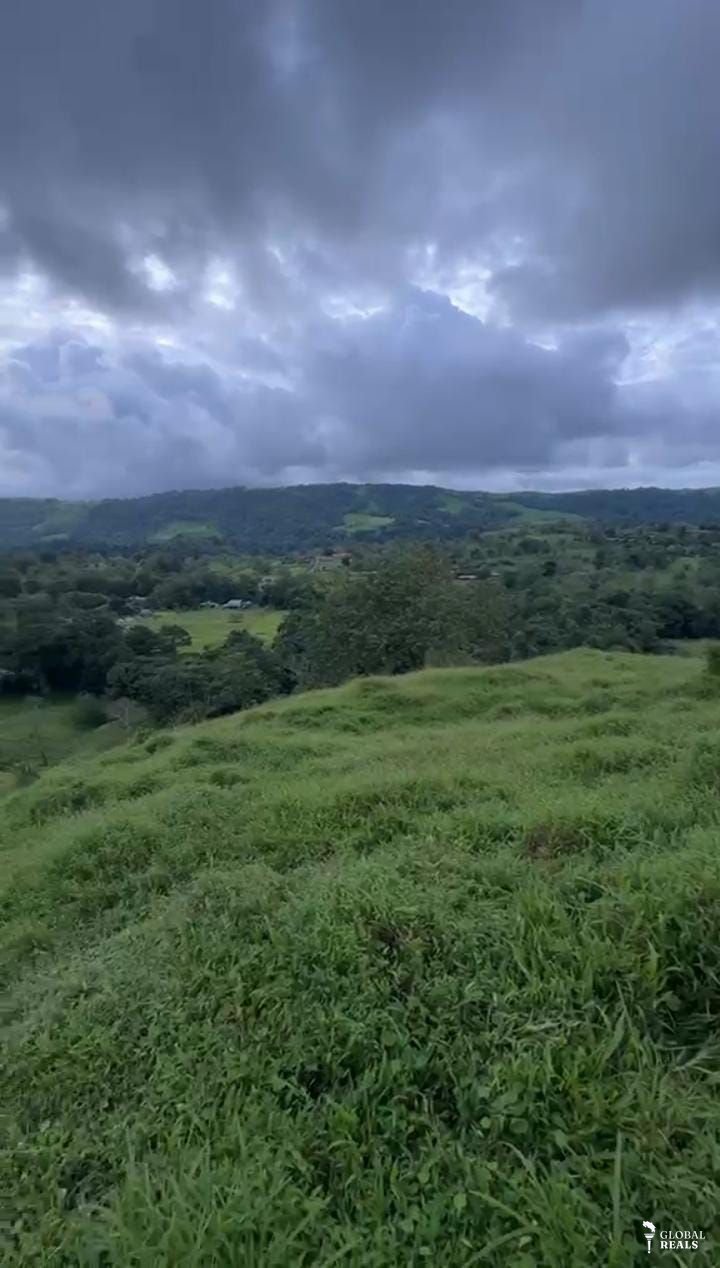 Finca   en la fortuna  san Carlos