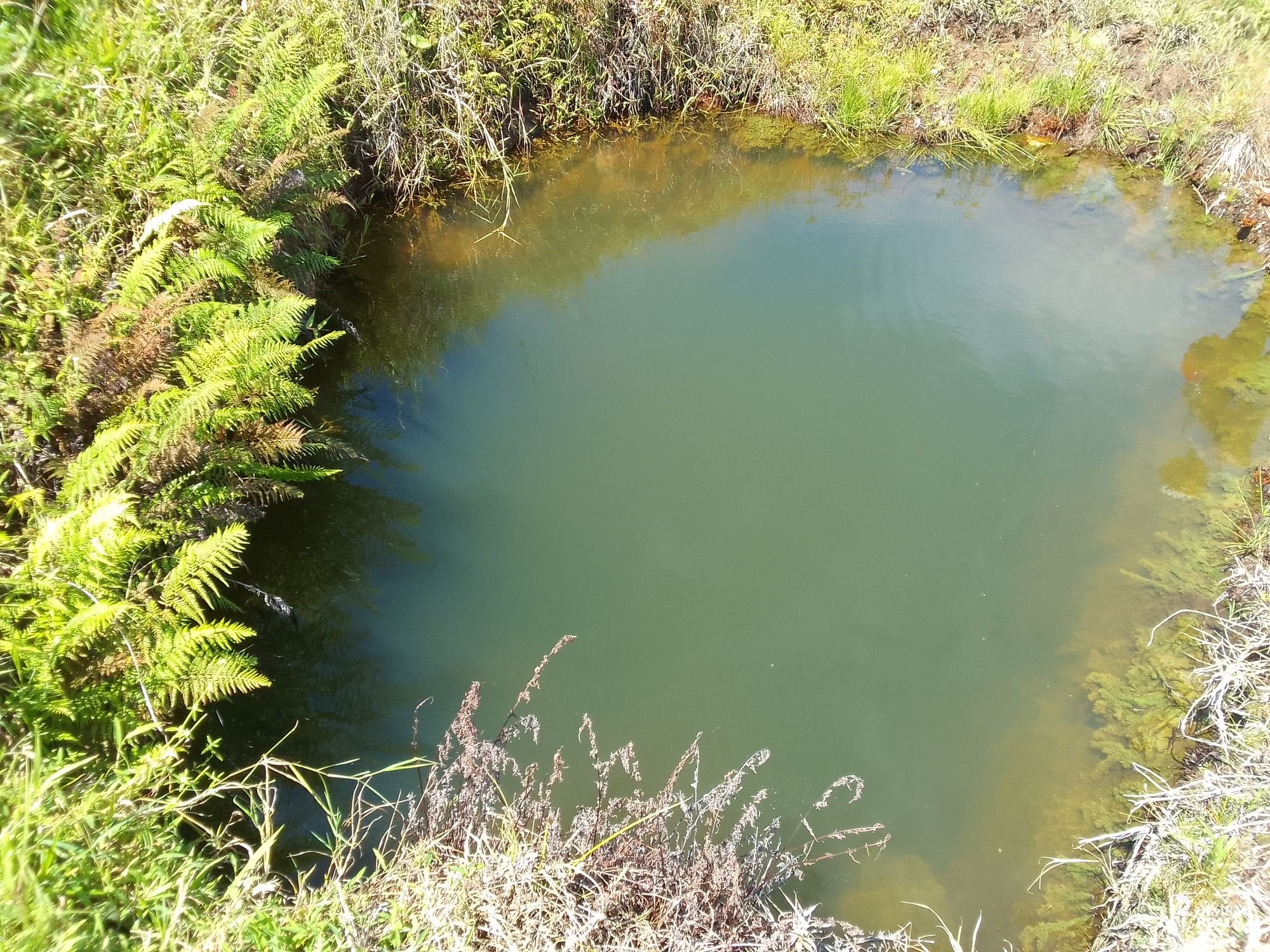 Aguas termales  en las faldas  Volcán Miravalles