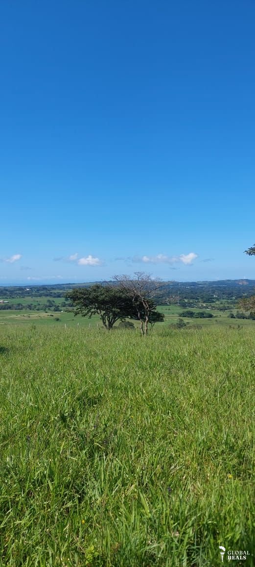 Finca  faldas del volcán Miravalles con casa tipo Hacienda