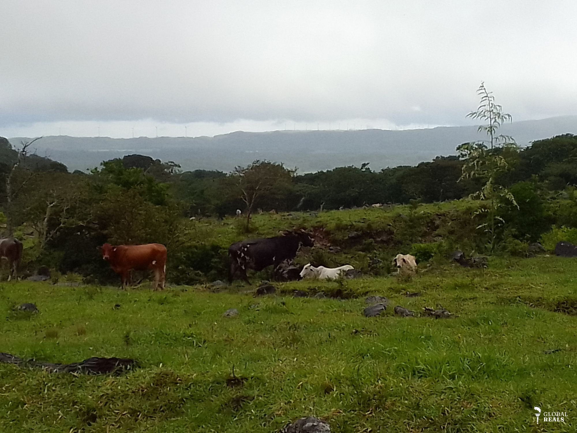 Super finca  con aguas termal.  Volcán Miravalles