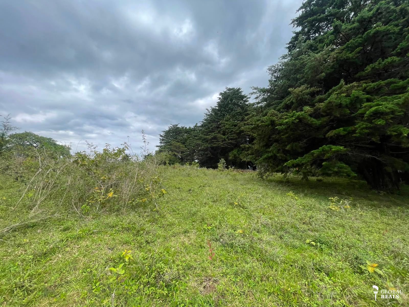 Se vende terreno San José de Montaña