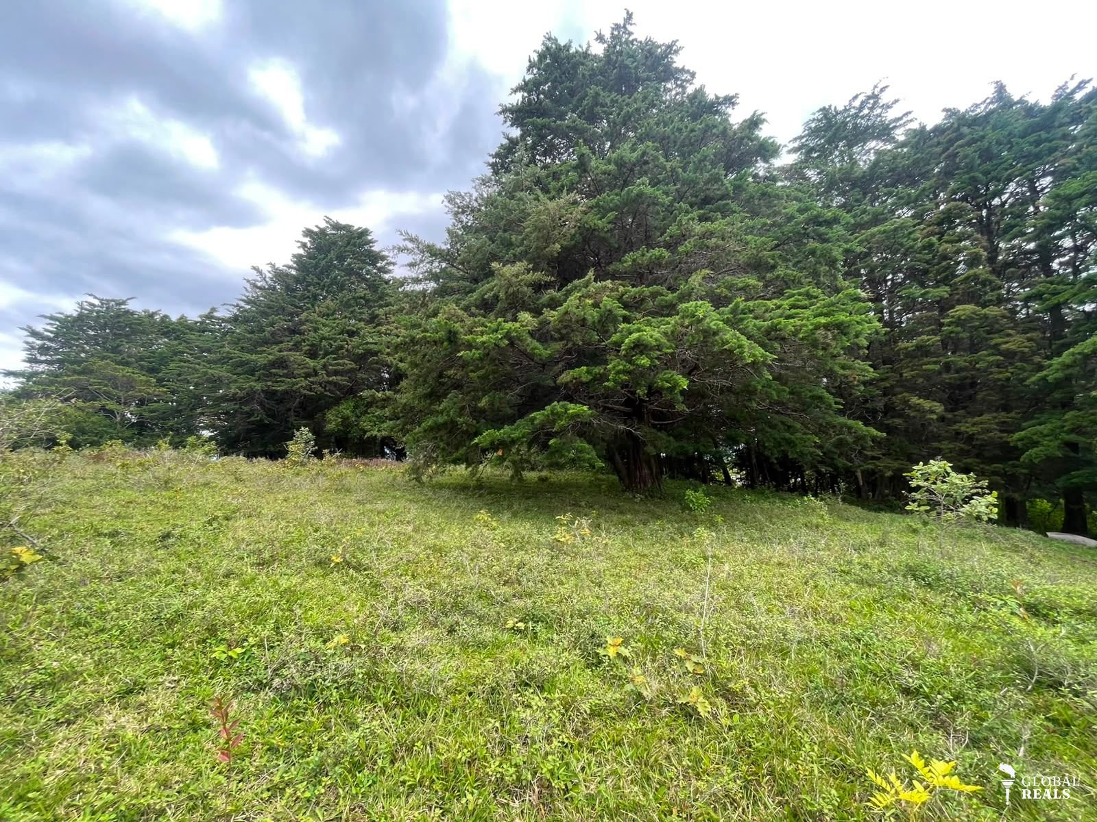 Se vende terreno San José de Montaña